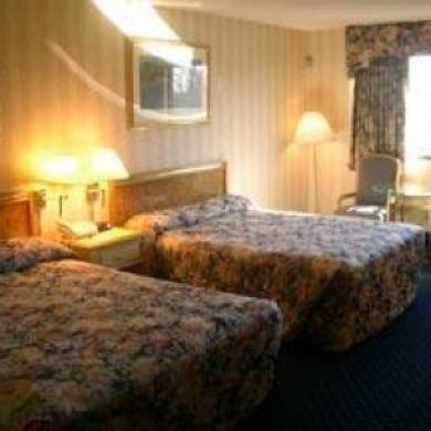 Oh St Joseph Resort Hotel Плезантвиль Номер фото